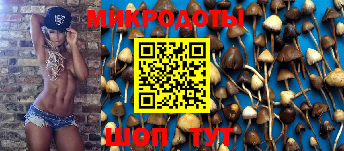 Галлюциногенные грибы мухоморы  Вход с VPN  Серов 